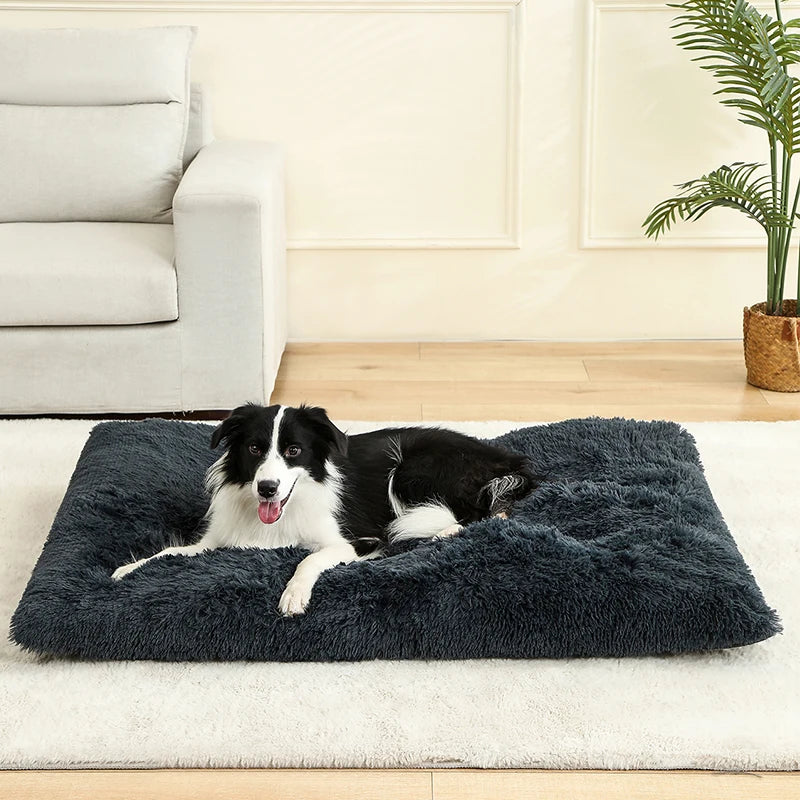 Soft Plush Dog Beds
