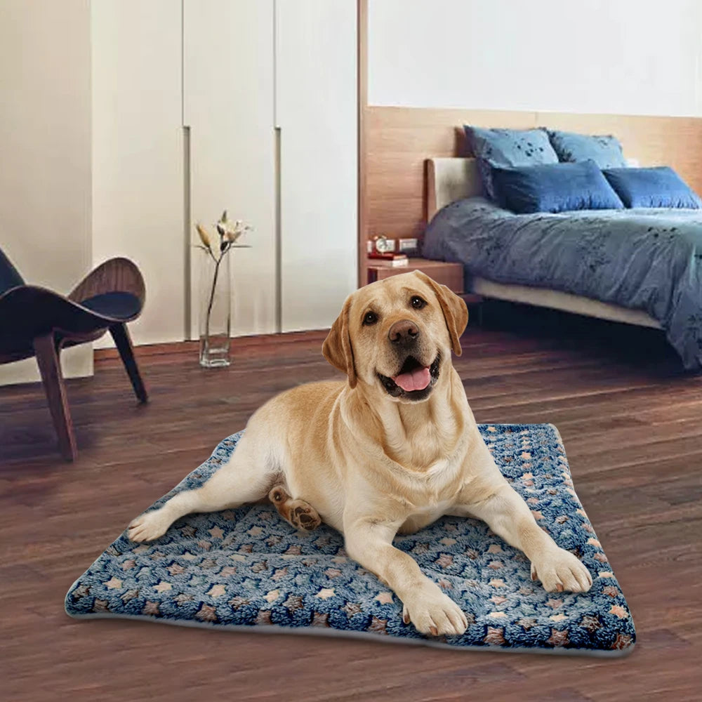 Dog Mat