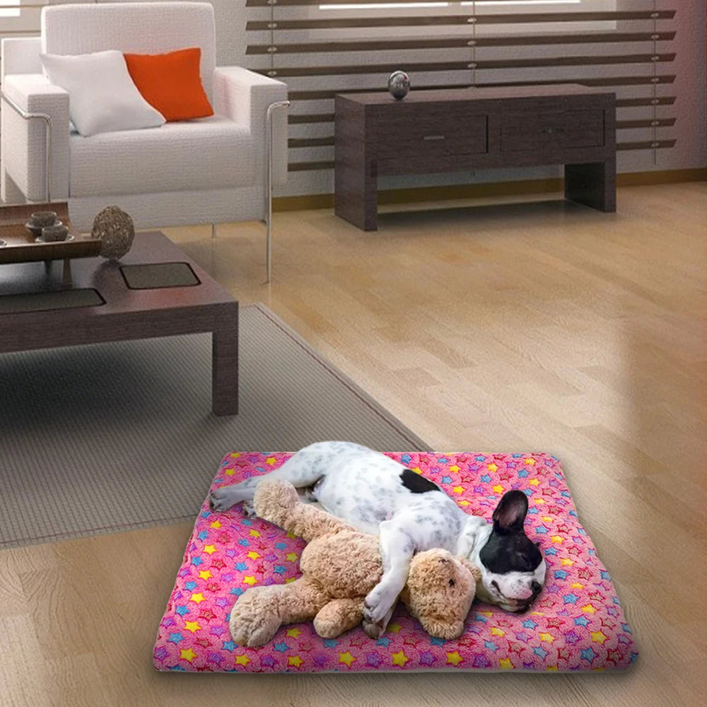 Dog Mat