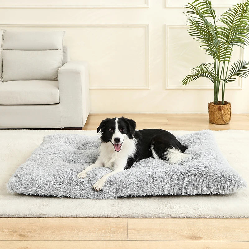 Soft Plush Dog Beds