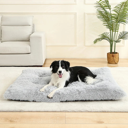 Soft Plush Dog Beds
