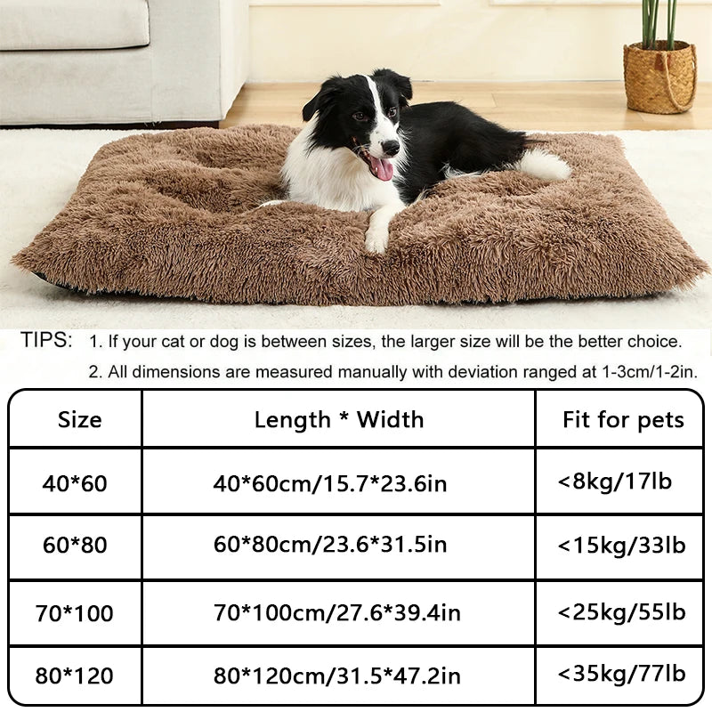 Soft Plush Dog Beds