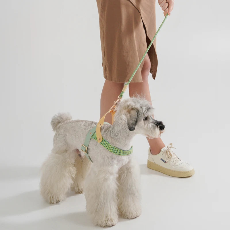 Fashionable Black & White Striped Chest Harnesses and Leashes Set