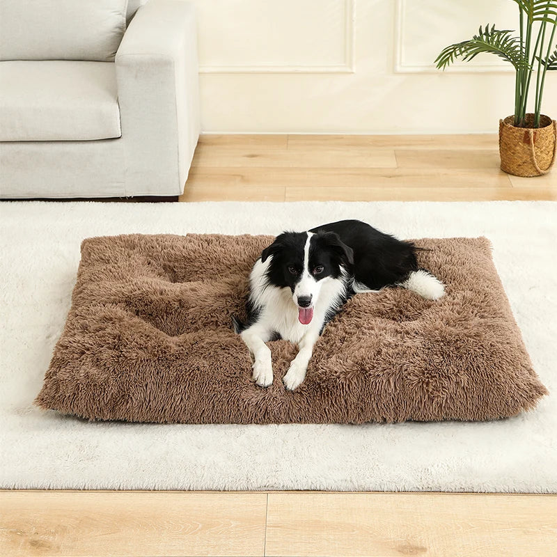 Soft Plush Dog Beds