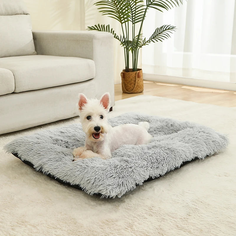 Soft Plush Dog Beds