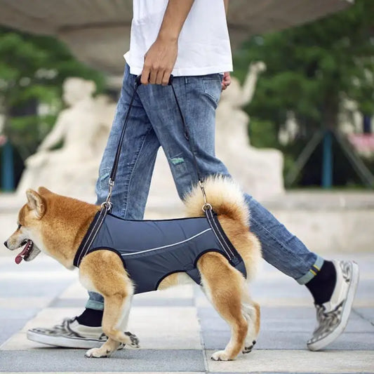 Sling Padded for Senior pet