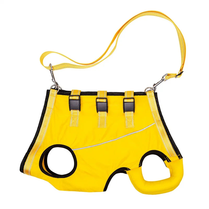 Sling Padded for Senior pet
