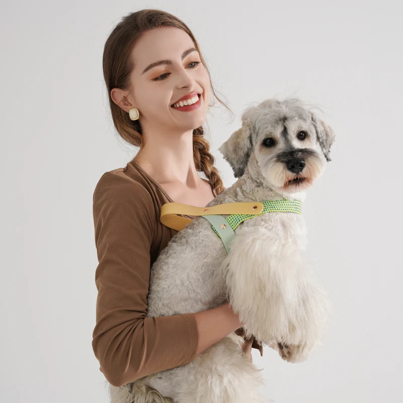 Fashionable Black & White Striped Chest Harnesses and Leashes Set