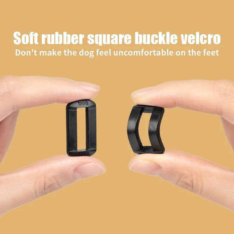 Teddy Dog Paw Protection