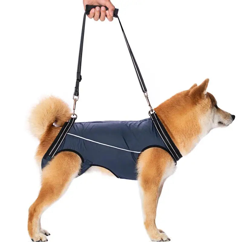 Sling Padded for Senior pet